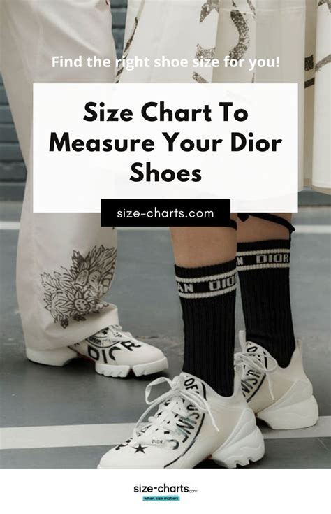 dior converse shoes blue|Dior shoes size chart.